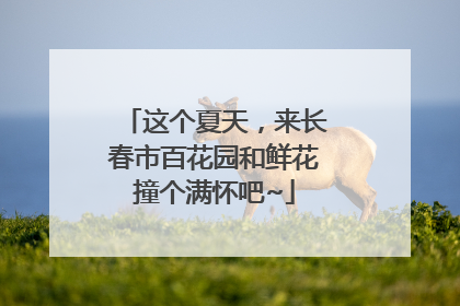 这个夏天，来长春市百花园和鲜花撞个满怀吧~
