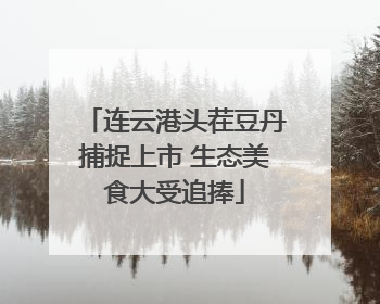 连云港头茬豆丹捕捉上市 生态美食大受追捧