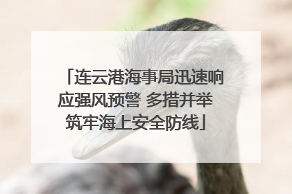 连云港海事局迅速响应强风预警 多措并举筑牢海上安全防线