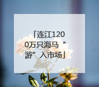 连江1200万只海马“游”入市场