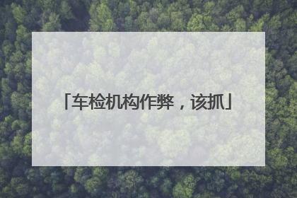 车检机构作弊，该抓