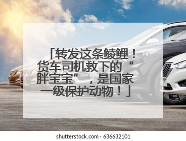 转发这条鲮鲤！货车司机救下的“胖宝宝”，是国家一级保护动物！