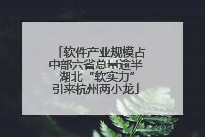 软件产业规模占中部六省总量逾半 湖北“软实力”引来杭州两小龙