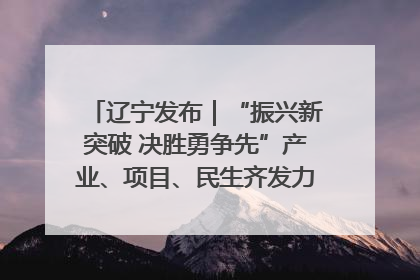 辽宁发布｜“振兴新突破 决胜勇争先”产业、项目、民生齐发力 葫芦岛按下决胜之年“加速键”