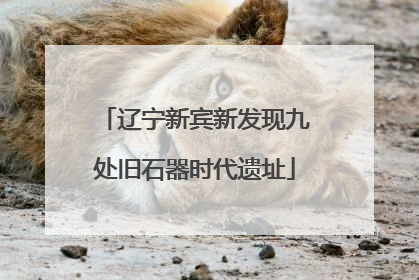 辽宁新宾新发现九处旧石器时代遗址