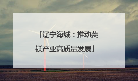 辽宁海城：推动菱镁产业高质量发展