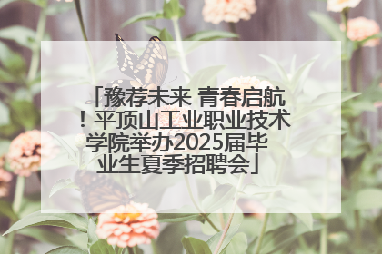 豫荐未来 青春启航！平顶山工业职业技术学院举办2025届毕业生夏季招聘会