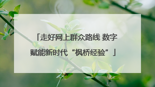 走好网上群众路线 数字赋能新时代“枫桥经验”