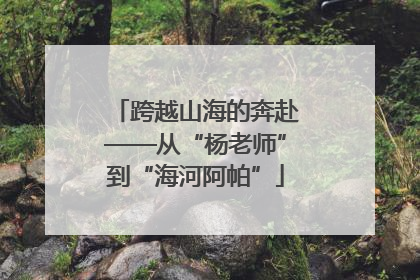跨越山海的奔赴——从“杨老师”到“海河阿帕”