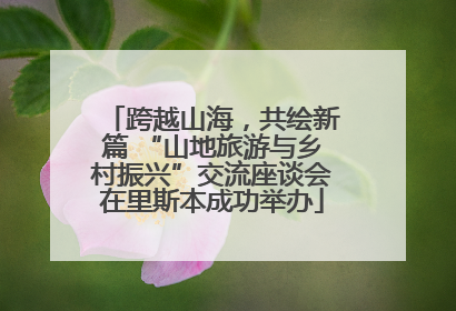 跨越山海，共绘新篇 “山地旅游与乡村振兴”交流座谈会在里斯本成功举办