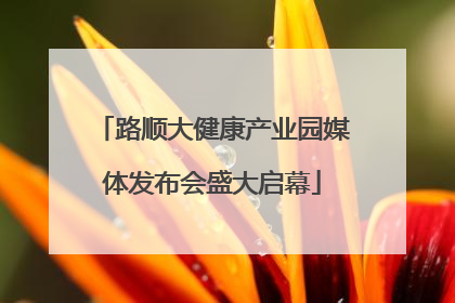 路顺大健康产业园媒体发布会盛大启幕