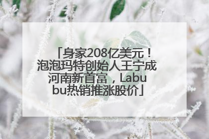 身家208亿美元！泡泡玛特创始人王宁成河南新首富，Labubu热销推涨股价