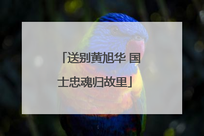 送别黄旭华 国士忠魂归故里