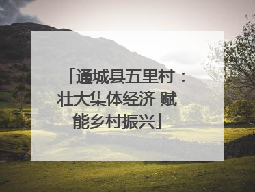 通城县五里村：壮大集体经济 赋能乡村振兴