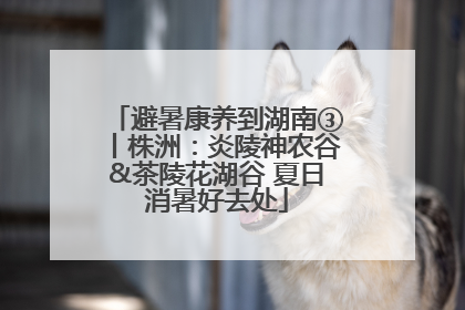 避暑康养到湖南③丨株洲：炎陵神农谷&茶陵花湖谷 夏日消暑好去处