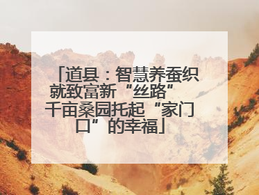 道县：智慧养蚕织就致富新“丝路” 千亩桑园托起“家门口”的幸福