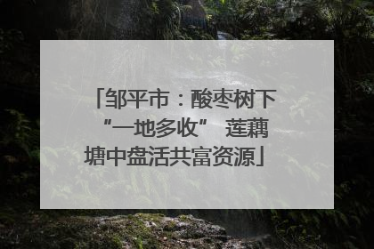 邹平市：酸枣树下“一地多收” 莲藕塘中盘活共富资源