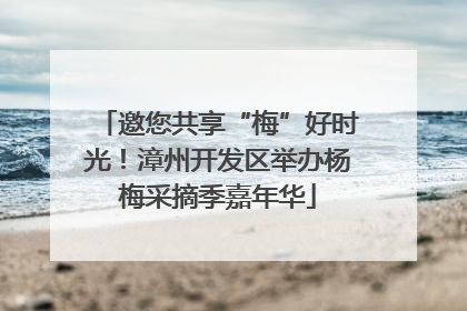 邀您共享“梅”好时光！漳州开发区举办杨梅采摘季嘉年华