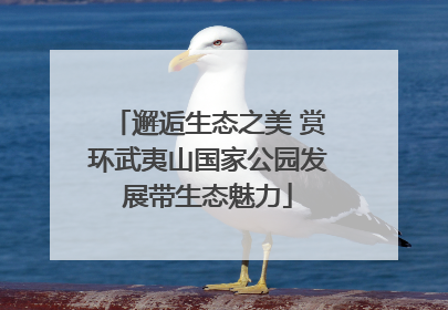邂逅生态之美 赏环武夷山国家公园发展带生态魅力