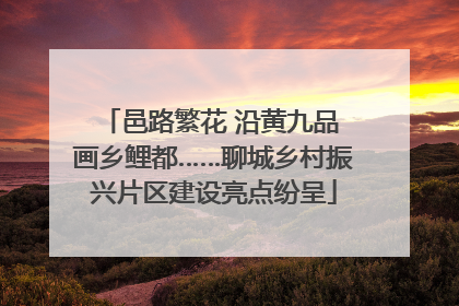 邑路繁花 沿黄九品 画乡鲤都……聊城乡村振兴片区建设亮点纷呈