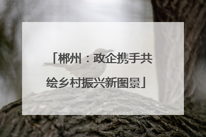 郴州：政企携手共绘乡村振兴新图景