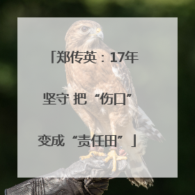 郑传英：17年坚守 把“伤口”变成“责任田”