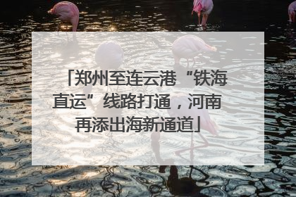 郑州至连云港“铁海直运”线路打通，河南再添出海新通道