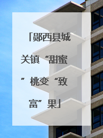 郧西县城关镇“甜蜜”桃变“致富”果