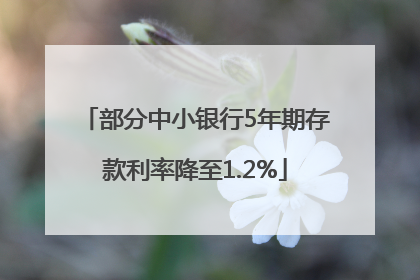 部分中小银行5年期存款利率降至1.2%