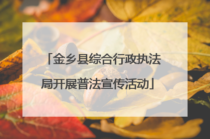 金乡县综合行政执法局开展普法宣传活动