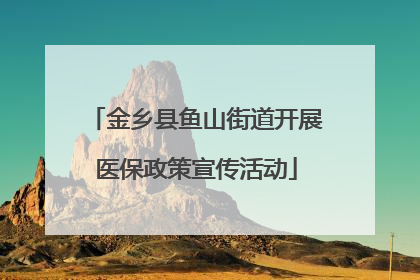 金乡县鱼山街道开展医保政策宣传活动