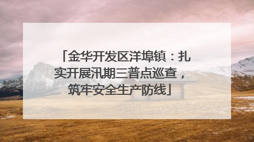 金华开发区洋埠镇：扎实开展汛期三普点巡查，筑牢安全生产防线