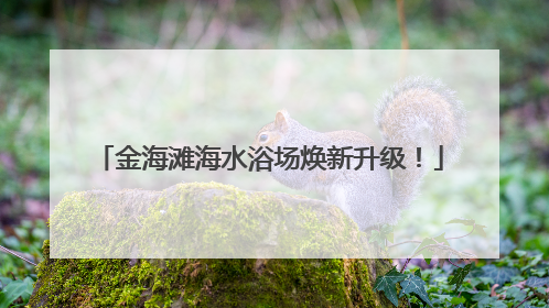金海滩海水浴场焕新升级！