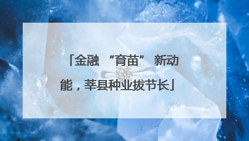 金融 “育苗” 新动能，莘县种业拔节长