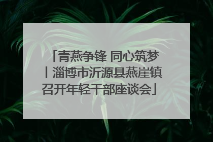 青燕争锋 同心筑梦丨淄博市沂源县燕崖镇召开年轻干部座谈会