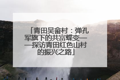 青田吴畲村：弹孔军旗下的共富蝶变——探访青田红色山村的振兴之路