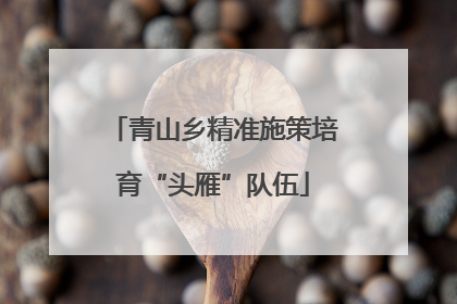 青山乡精准施策培育“头雁”队伍