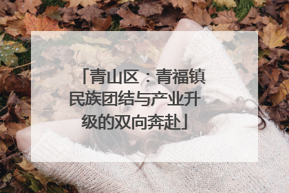 青山区：青福镇民族团结与产业升级的双向奔赴