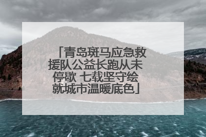 青岛斑马应急救援队公益长跑从未停歇 七载坚守绘就城市温暖底色