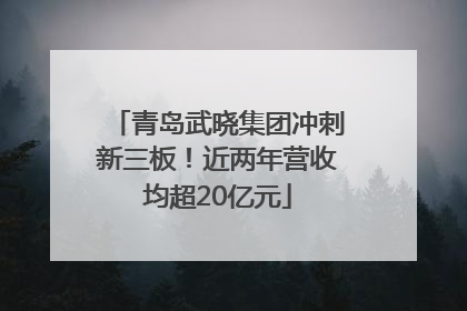 青岛武晓集团冲刺新三板！近两年营收均超20亿元