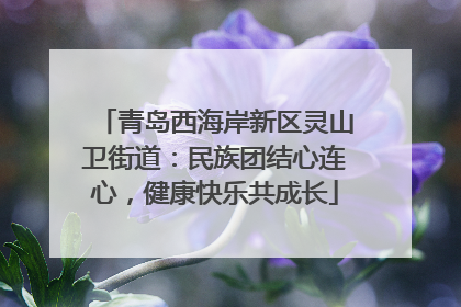 青岛西海岸新区灵山卫街道：民族团结心连心，健康快乐共成长