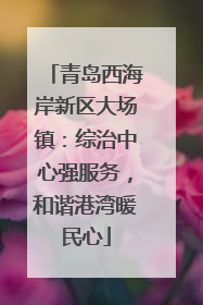 青岛西海岸新区大场镇：综治中心强服务，和谐港湾暖民心