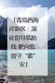 青岛西海岸新区：深化指导筑防线 靶向监督守“薪”安
