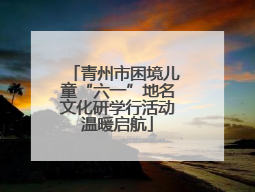 青州市困境儿童“六一”地名文化研学行活动温暖启航