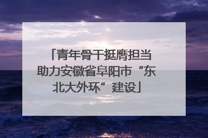 青年骨干挺膺担当 助力安徽省阜阳市“东北大外环”建设