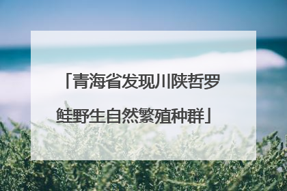 青海省发现川陕哲罗鲑野生自然繁殖种群