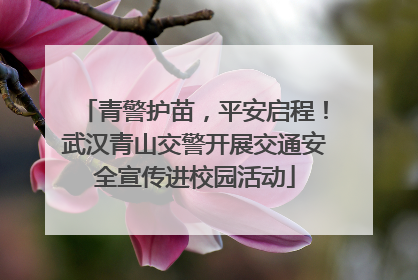 青警护苗，平安启程！武汉青山交警开展交通安全宣传进校园活动