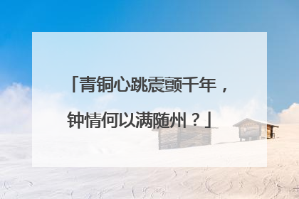 青铜心跳震颤千年，钟情何以满随州？