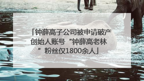 钟薛高子公司被申请破产 创始人账号“钟薛高老林”粉丝仅1800余人