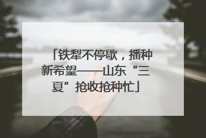铁犁不停歇，播种新希望——山东“三夏”抢收抢种忙